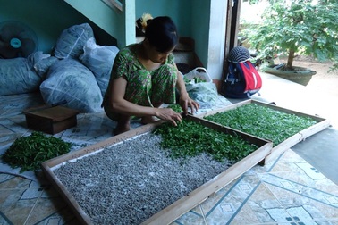 Nghề cũ… hồi sinh