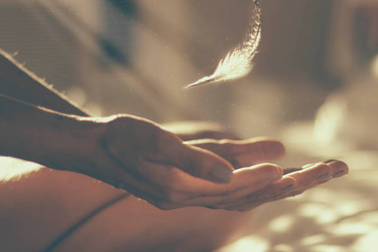 "Nếu có kiếp sau, mong vợ chồng mình sẽ không gặp lại nhau"