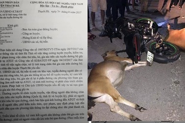 Đồng loạt ra quân "dẹp" trâu bò thả rông trên quốc lộ