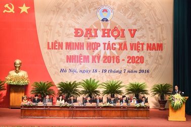 Sau trúng cử Đại biểu Quốc hội khoá XIV, ông Võ Kim Cự tái đắc cử Chủ tịch Liên minh Hợp tác xã