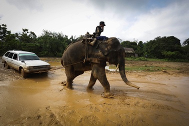 Sự thật về kinh đô ngọc bích, nơi tử thần rình rập