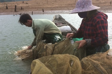 Người dân chật vật mưu sinh giữa lòng hồ thủy điện