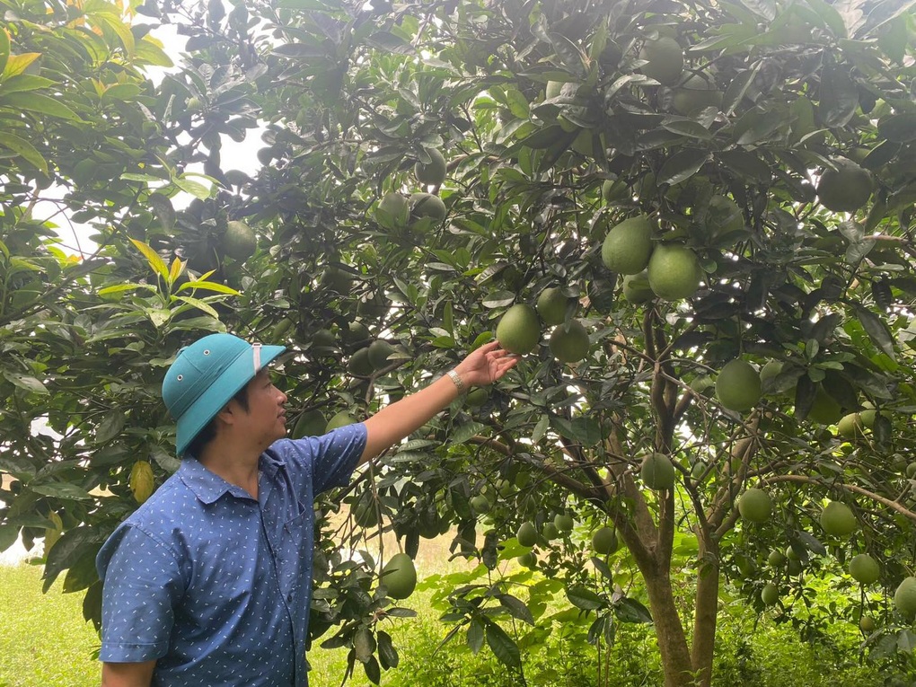 Phú Thọ: Xây dựng nông thôn mới gắn với bản sắc vùng - 1