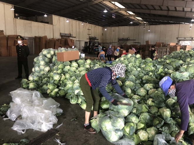 Giải cứu nông sản: Những lời gan ruột từ tâm dịch Hải Dương! - 13 Giải cứu nông sản: Những lời gan ruột từ tâm dịch Hải Dương! - 13