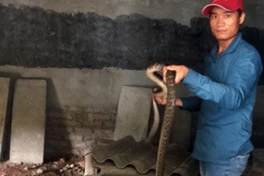 Làm giàu từ con “không kêu”