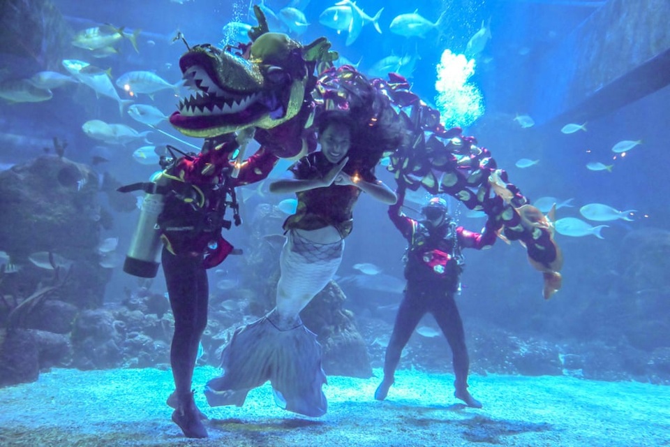 Cảnh đeo mặt nạ chống độc kho cá ở làng Vũ Đại lên báo nước ngoài - 4