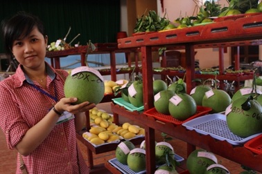 Khai mạc ngày hội trái cây  - trái ngon, an toàn