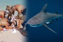 Cố chụp ảnh tự sướng cùng cá mập, nữ du khách bị mất 2 tay