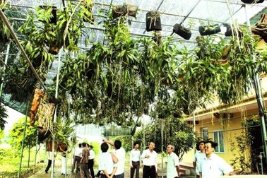 Bộ Nông nghiệp: Truyền thông tung hê lan tiền tỷ rất nguy hiểm