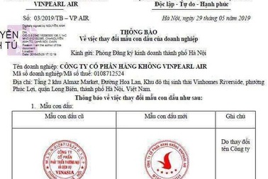 Vingroup mở trường đào tạo phi công, tính "xuất khẩu" nhân lực hàng không