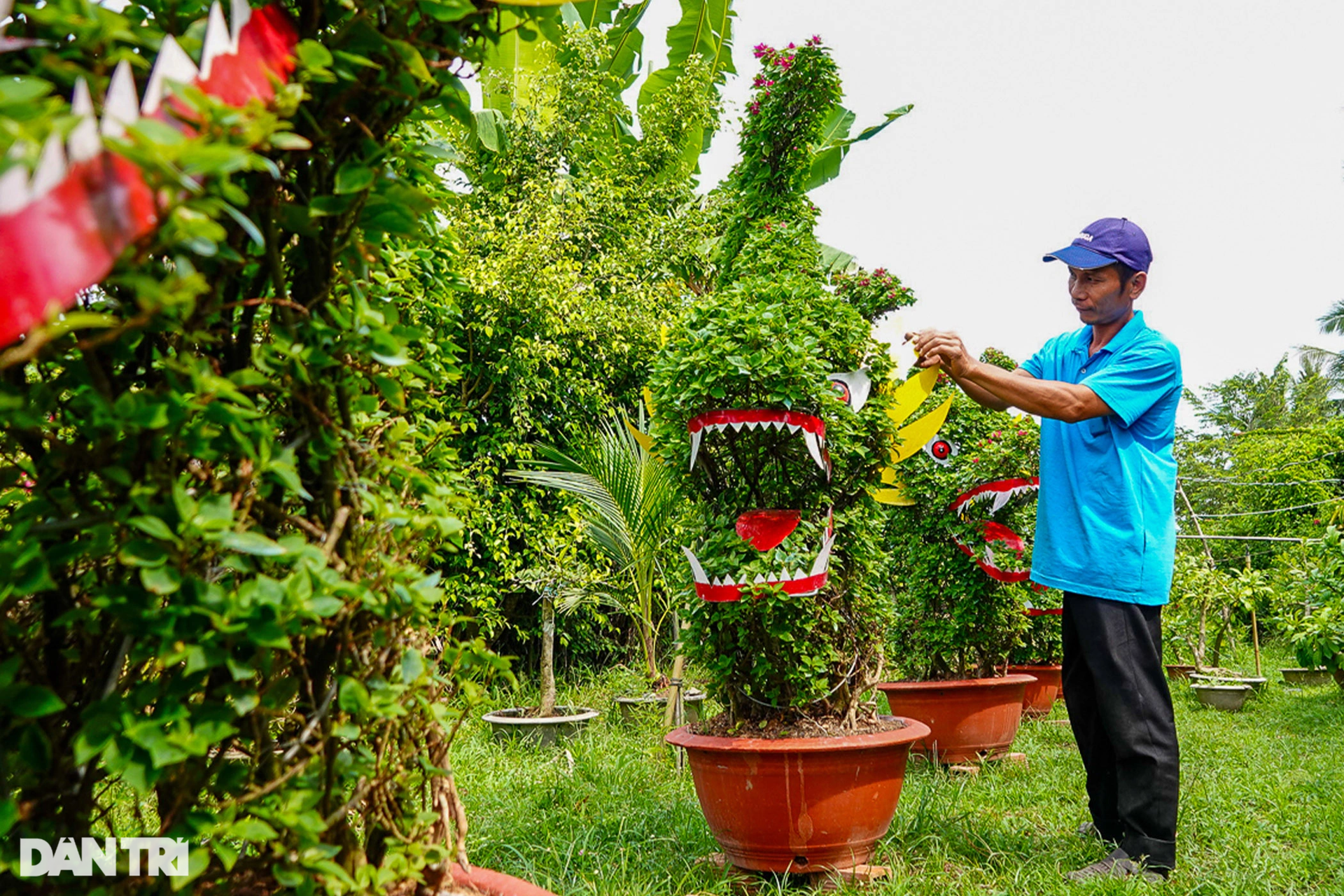 Making dragon mascots from kumquats and ornamental flowers, farmers sell one to make millions - 6