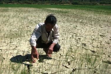 Thủy điện chống “khát” cho nông dân miền Trung và Tây Nguyên