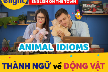 Học tiếng Anh: Tổng hợp thành ngữ về động vật hay và thông dụng nhất!