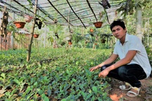 Gần 45 nghìn hộ nghèo, cận nghèo được tiếp cận vốn vay chính sách