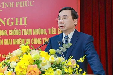 112 vụ phạm tội về kinh tế, tham nhũng ở Vĩnh Phúc năm 2024