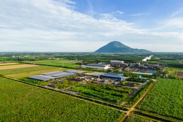 Hàng ngàn vận động viên tham gia giải chạy băng đồng tại Tây Ninh