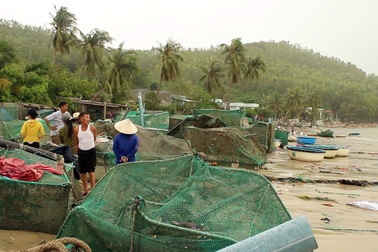 Mất hơn 200 tỷ đồng sau bão, người nuôi tôm "khát" vốn để khôi phục sản xuất