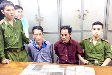 Ly kỳ những lần phục bắt “sói hoang” miền Tây xứ Nghệ