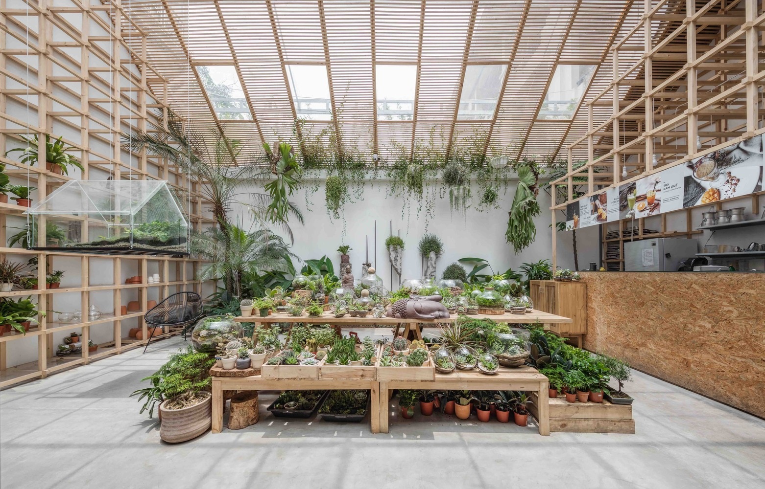 Quán cà phê như khu rừng nhiệt đới giữa lòng Hà Nội - 2 Quán cà phê như khu rừng nhiệt đới giữa lòng Hà Nội - 2