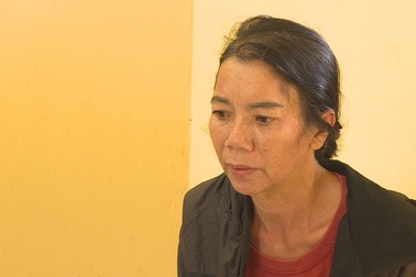 Làm giả sổ đỏ rồi đem vay ngân hàng chiếm đoạt tiền tỷ