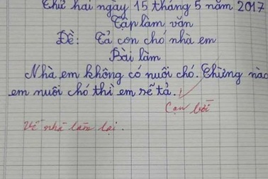 Tranh luận về bài Văn “Nhà em không nuôi chó”