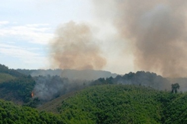 Đốt thực bì cháy lan vào rừng tự nhiên