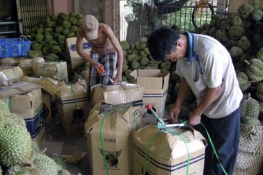 Giá sầu riêng bất ngờ tăng vọt, nông dân thu lời bạc tỷ