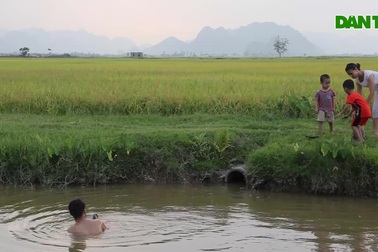 Bình yên những buổi chiều quê ở ngoại thành Hà Nội