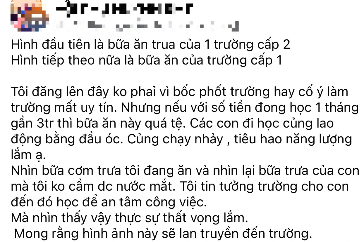 Suất ăn trưa như để giảm cân tại Trường Tiểu học Quốc tế - 4