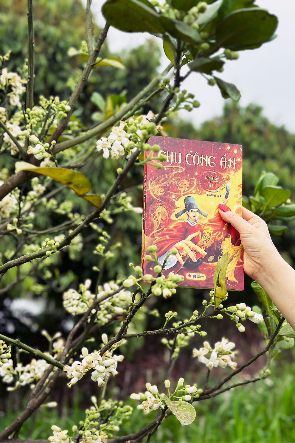 Chu công án: Tiểu thuyết trinh thám cổ cuốn hút như Bao Thanh Thiên - 1