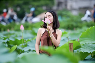 Thiếu nữ Hà Thành thả dáng bên đầm sen hồ Tây