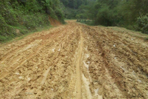 Vụ cô giáo Hà Giang tử vong vì xe lao xuống vực: Đề xuất tôn vinh