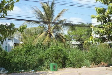 Vụ gia đình liệt sĩ hơn 30 năm đi đòi lại đất: Lại mòn mỏi chờ đợi!