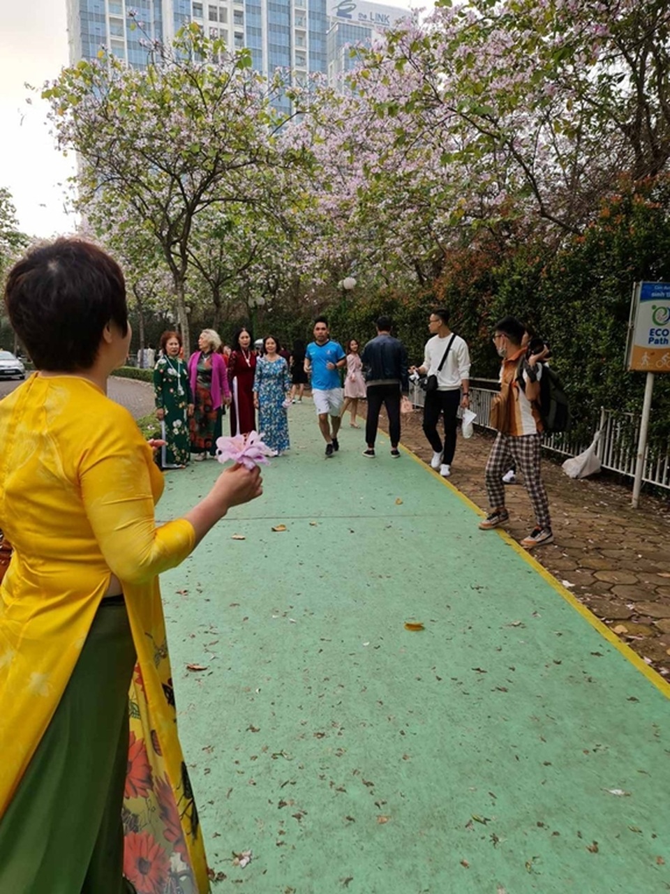 Hàng nghìn người tụ tập chụp ảnh hoa ban tại khu đô thị Nam Thăng Long - 6 Hàng nghìn người tụ tập chụp ảnh hoa ban tại khu đô thị Nam Thăng Long - 6