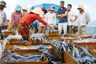 Thương lái Trung Quốc vẫn mua cá “chui” tại Nha Trang