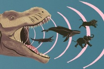 Khủng long phát ra âm thanh thế nào?