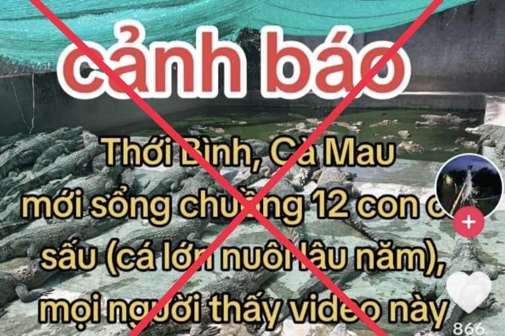 Xử phạt người đăng tin 12 con cá sấu xổng chuồng - 1 Xử phạt người đăng tin 12 con cá sấu xổng chuồng - 1