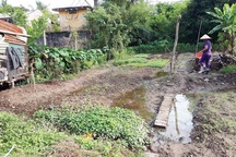 Tôi đi mua đất xen kẹt giữa... Thủ đô