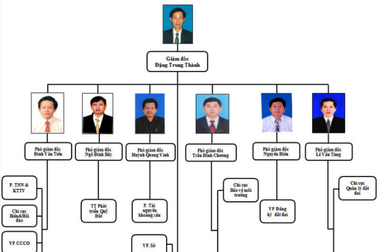 Phó Thủ tướng yêu cầu làm rõ thông tin “1 sở 6 phó giám đốc”