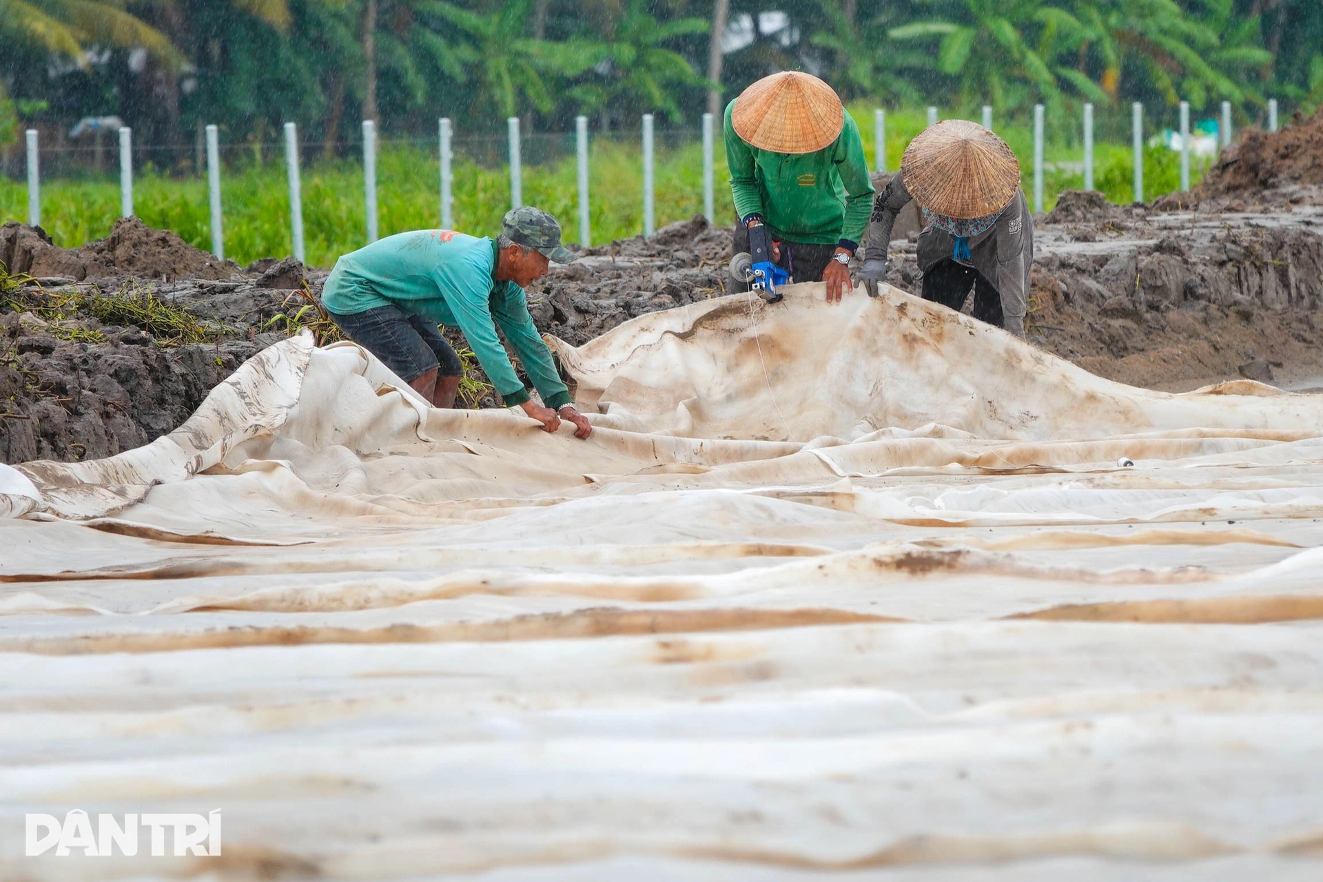 Hàng nghìn công nhân đội mưa chạy đua hoàn thành 110km cao tốc ở miền Tây - 5 Hàng nghìn công nhân đội mưa chạy đua hoàn thành 110km cao tốc ở miền Tây - 5