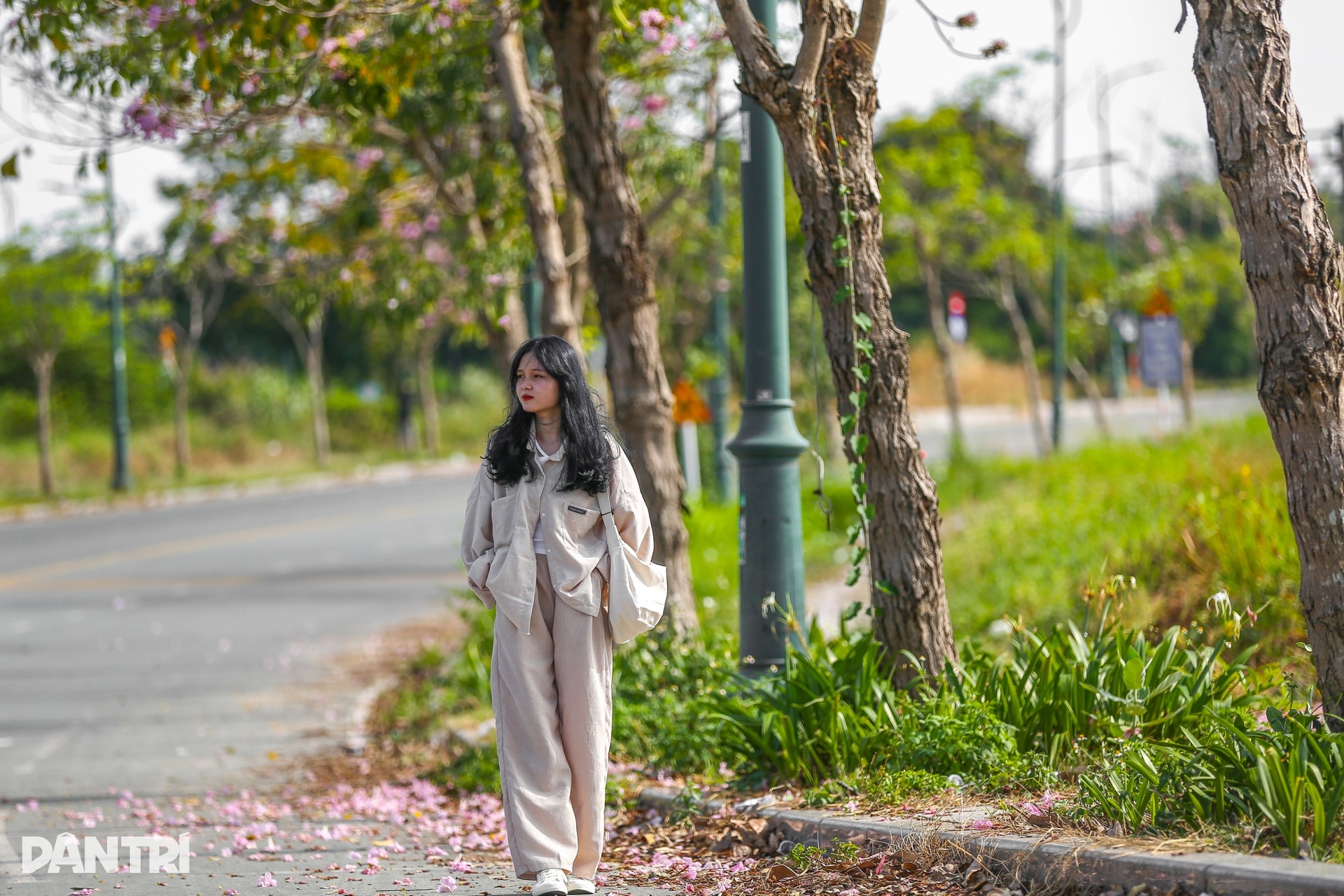 Giới trẻ háo hức chụp ảnh với hoa kèn hồng đang mùa nở rộ ở TPHCM - 11