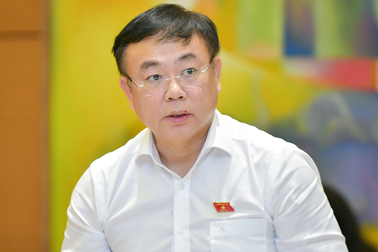 ĐBQH lo "nhà đầu tư bất động sản mua hết đất rừng xây nhà ở thương mại"