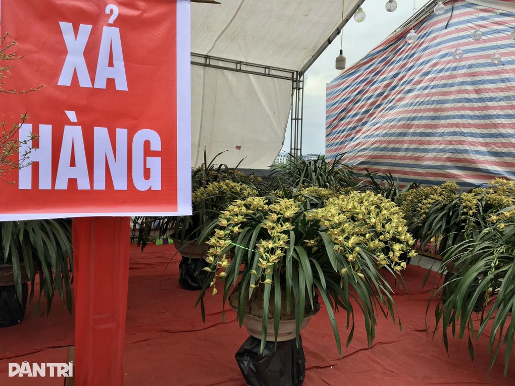 Hoa bán chậm nhiều tiểu thương chợ Xuân Lào Cai hạ giá để về quê ăn Tết - 6 Hoa bán chậm nhiều tiểu thương chợ Xuân Lào Cai hạ giá để về quê ăn Tết - 6