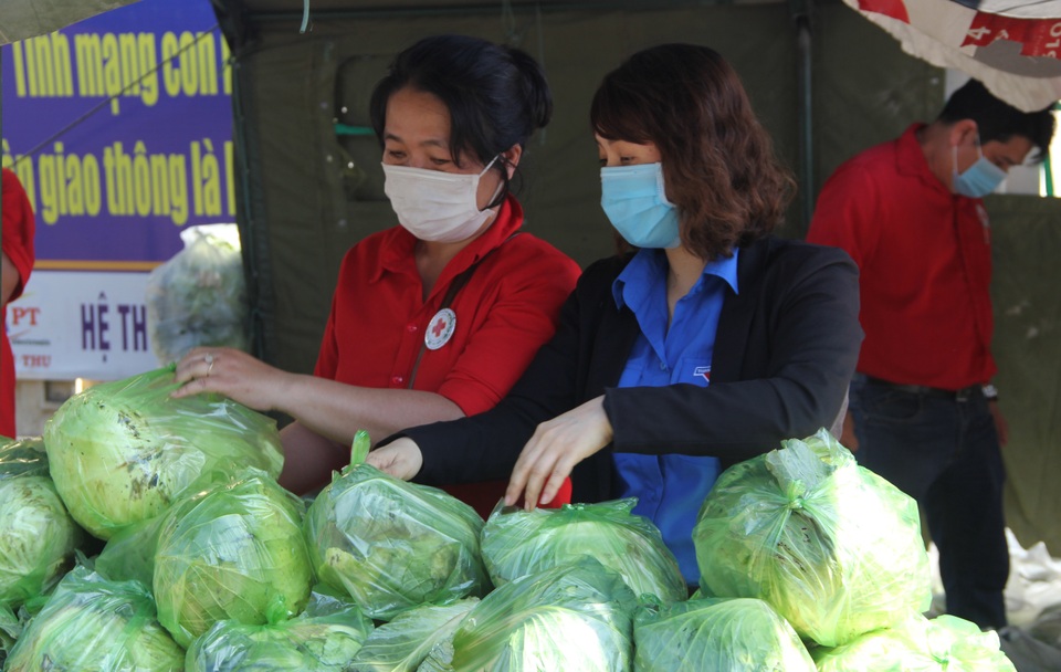 Giải cứu nông sản Hải Dương:Bán 0 đồng dân tự nguyện góp 100.000 đồng - 3 Giải cứu nông sản Hải Dương:Bán 0 đồng dân tự nguyện góp 100.000 đồng - 3
