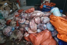 Có tình trạng người dân giấu dịch, bán "chạy" lợn nhiễm dịch tả châu Phi