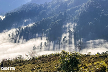 Nghệ An mở cửa lại hoạt động du lịch và đón khách quốc tế