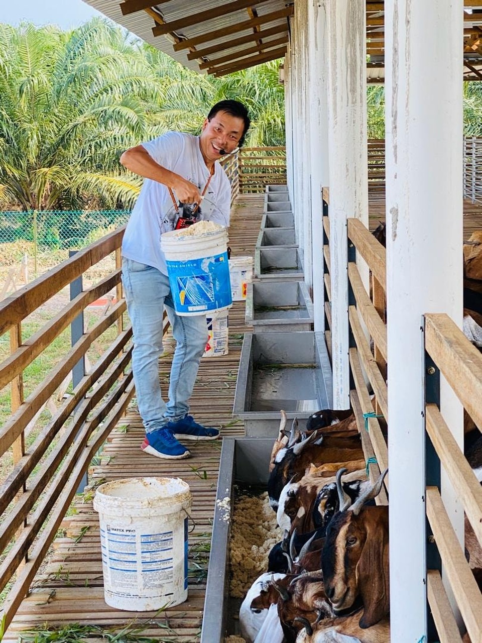 Giám đốc ngân hàng bỏ việc lương cao để sống với ước mơ làm nông dân - 3 Giám đốc ngân hàng bỏ việc lương cao để sống với ước mơ làm nông dân - 3