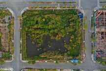 Từ vụ Tân Hoàng Minh ở Thủ Thiêm: Kiến nghị cần tăng mạnh tiền cọc