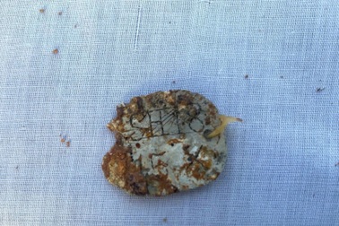 Phát hiện hài cốt liệt sỹ kèm mảnh nhôm đeo tay khắc ký hiệu