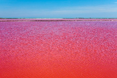 Kỳ thú hồ nước “đỏ như máu”